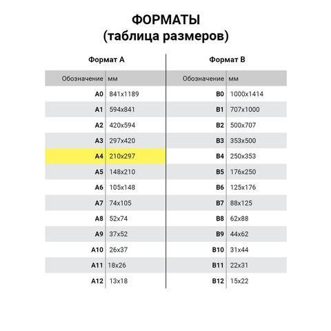 Папка для рисования А4, 20 л., 160 г/м2, BRAUBERG, 210х297 мм, "Орел", 125230