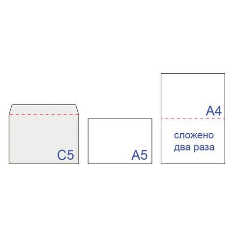 Конверты С5 (162х229 мм), отрывная лента, "Куда-Кому", 80 г/м2, КОМПЛЕКТ 50 шт., внутренняя запечатка, С50.15.50С