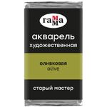 Акварель художественная Гамма "Старый Мастер" оливковая, 2,6мл, кювета