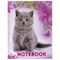 Блокнот МАЛЫЙ ФОРМАТ 110х147 мм А6, 80 л., твердый переплет, клетка, выборочный лак, BRAUBERG, "Котята", 122192