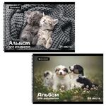 Альбом для рисования А4, 24 листа, гребень, обложка картон, BRAUBERG, 195х285 мм, "Питомцы" (2 вида), 106696
