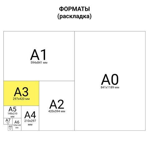 Бумага масштабно-координатная (миллиметровая), скоба, БОЛЬШОЙ ФОРМАТ А3 (295х420 мм), голубая, 8 листов, HATBER, 8Бм3_02285