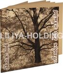 Альбом для эскизов «Дерево», 70 - 78 г/м2, 210х210 мм, 40л, крафт