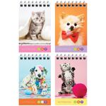 Блокнот А7 40л. на гребне ArtSpace "Питомцы. Bright friends"