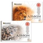 Альбом для рисования, А4, 40 листов, гребень, обложка картон, BRAUBERG, 205х290 мм, "Благородные кошки" (2 вида), 102831