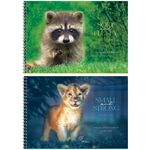 Альбом для рисования 48л., А4, на гребне ArtSpace "Животные. Wild history", эконом