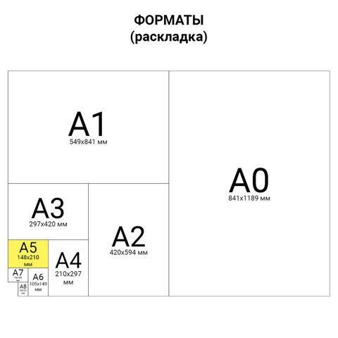 Блокнот А5 146х205 мм, 80 л., гребень, мелованная картонная обложка, клетка, ОФИСМАГ, 3 вида, 123021