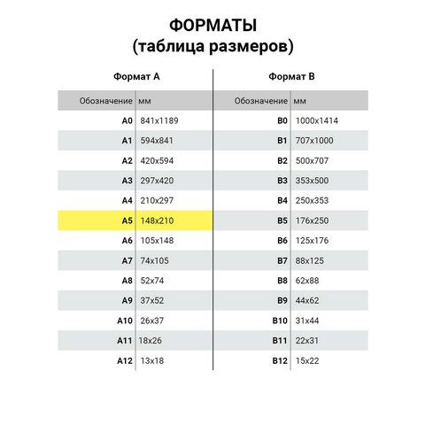 Блокнот А5 (148x218 мм), BRAUBERG "Metropolis X", под кожу, 80 л., резинка, клетка, оранжевый, 111032