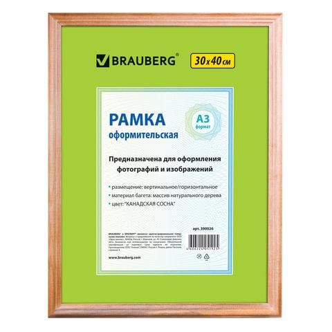 Рамка 30х40 см, дерево, багет 18 мм, BRAUBERG "HIT", канадская сосна, стекло, 390026