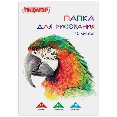 Бумага для рисования А3, 297х420 мм, в папке 40 листов, 120 г/м2, ПИФАГОР "Попугай", 880267