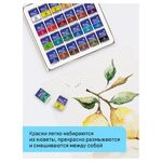 Акварель художественная Гамма "Студия", 24цв., кюветы, картон. упаковка