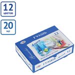 Гуашь Гамма "Лицей", 12 цветов, 20мл, картон. упаковка