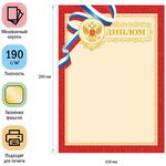 Диплом А4, ArtSpace, мелованный картон, тиснение фольгой