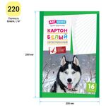 Картон белый А4, ArtSpace, 16л., немелованный, в папке