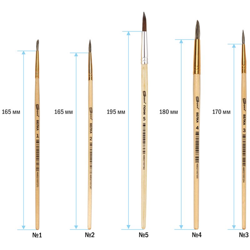 Набор кистей ArtSpace 5шт., белка, круглые, № 1, 2, 3, 4, 5, блистер