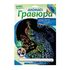 Гравюра с цветной основой "Грациозный павлин", 18х24 см, основа, штихель, LORI, Гр-431