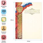 Благодарность А4, ArtSpace, мелованный картон, конгрев, тиснение фольгой