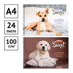 Альбом для рисования 24л., А4, на гребне ArtSpace "Питомцы. Pretty sweet"