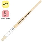 Кисть щетина, ArtSpace, плоская №20, пакет, европодвес