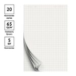 Блокнот для флипчарта OfficeSpace 60*90см, 20л., клетка, бюджет
