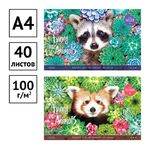 Альбом для рисования 40л., А4, на скрепке ArtSpace "Забавные еноты"