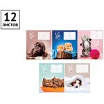 Тетрадь 12л., косая линия ArtSpace "Питомцы. I really like"