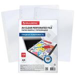 Папки-файлы перфорированные А4 BRAUBERG "ECONOMY", КОМПЛЕКТ 100 шт., гладкие, 30 мкм, 229659