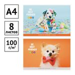 Альбом для рисования 08л., А4, на скрепке ArtSpace "Питомцы. Bright friends", эконом