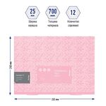 Папка 12 отделений Berlingo "Starlight S" А4, 330*240*25мм, 700мкм, на резинке, c рисунком