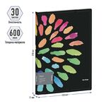 Папка с 30 вкладышами Berlingo "Aqua", 17мм, 600мкм, с внутр. карманом, с рисунком