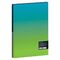 Папка на 4 кольцах Berlingo "Radiance", 24мм, 600мкм, D-кольца, с внутр. карманом, голубой/зеленый градиент