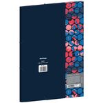 Папка на резинке Berlingo "Sparkle" А4, 600мкм, с рисунком