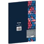 Папка для тетрадей на резинке Berlingo "Sparkle" А5+, 600мкм, с рисунком