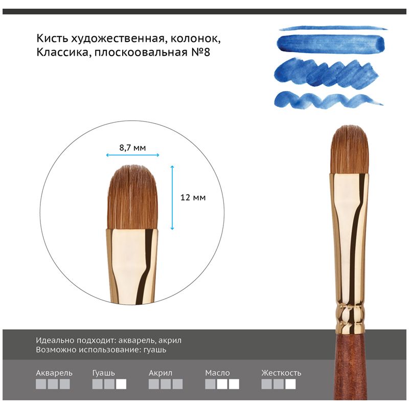Кисть художественная колонок Гамма "Классика", плоскоовальная №8