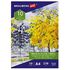 Папка для акварели А4, 10 л., 270 г/м2, мелкое зерно, BRAUBERG ART CLASSIC, "Осенняя аллея", 114397
