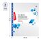 Папка-вкладыш с цветным корешком Berlingo, А4, 30мкм, глянцевая, ассорти