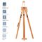 Мольберт полевой тренога с кронштейном Гамма "Студия", 78*80*132(196)см, бук
