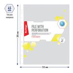 Папка-вкладыш с перфорацией Berlingo, А4, 45мкм, матовая