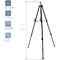 Мольберт-фотоштатив универсальный алюминиевый Гамма "Студия", высота 158см, с чехлом