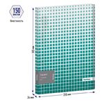 Папка на 4 кольцах Berlingo "Squares", 24мм, 600мкм, D-кольца, с внутр. карманом