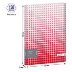 Папка на 4 кольцах Berlingo "Squares", 24мм, 600мкм, D-кольца, с внутр. карманом