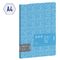 Папка с 20 вкладышами Berlingo "Starlight S", 17мм, 600мкм, голубая, с внутр. карманом, с рисунком