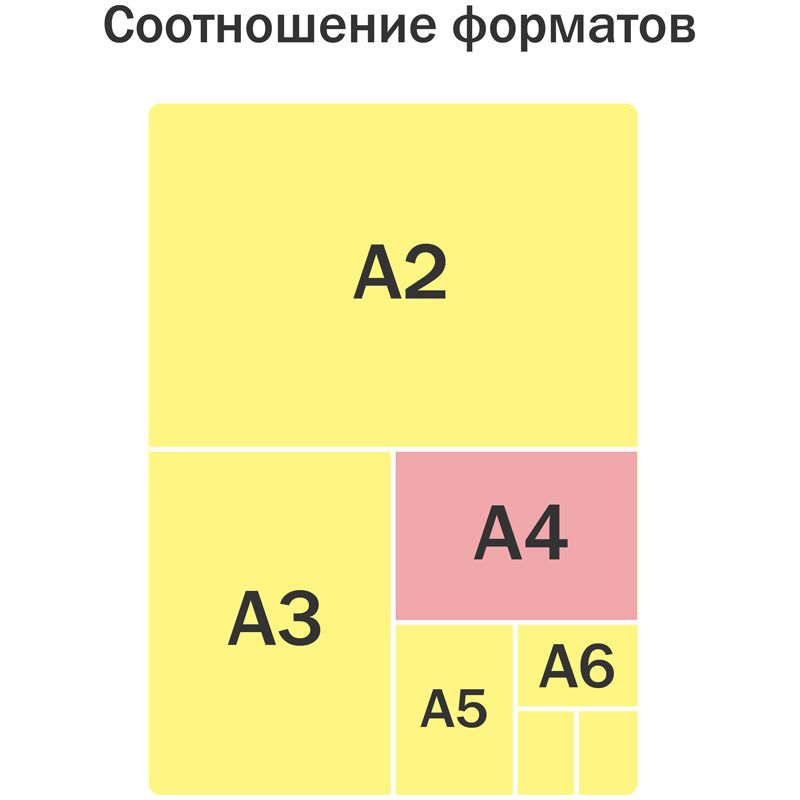 Папка с ручками А4 ArtSpace "Corgi", полиэстер, на молнии, 70мм