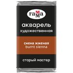 Акварель художественная Гамма "Старый Мастер" сиена жженая, 2,6мл, кювета