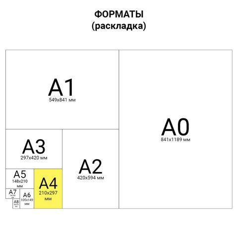 Папка для тетрадей ПИФАГОР А4, 1 отделение, картон, молния сверху, "NEON", 229097