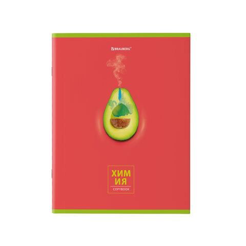 Тетрадь предметная "AVOCADO" 48 л., глянцевый лак, ХИМИЯ, клетка, BRAUBERG, 404284