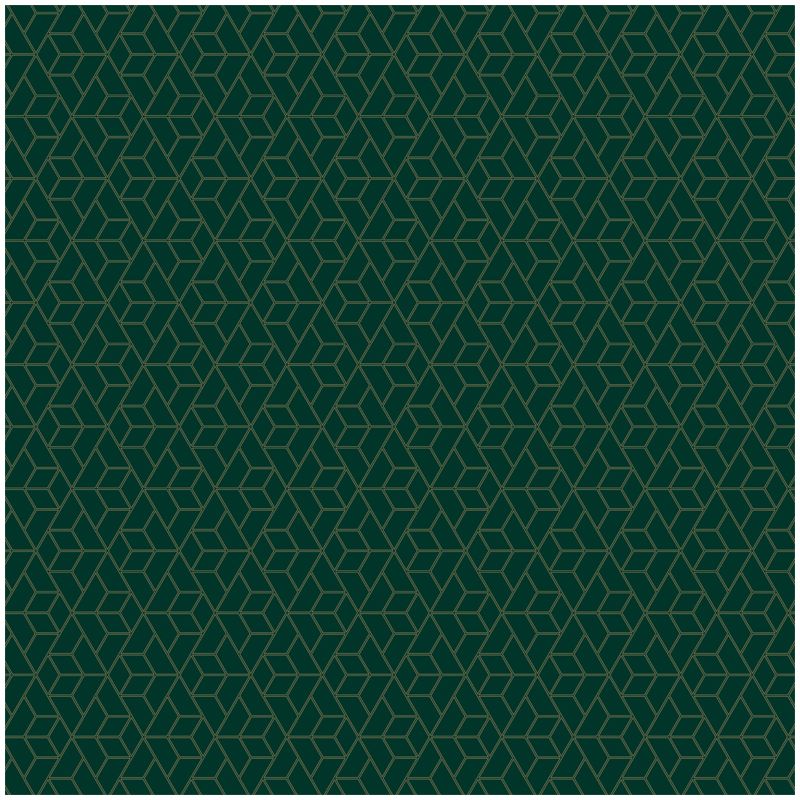 Упаковочная бумага глянц. 70*100см, MESHU "Dark green", 90г/м2