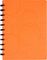 Бизнес-тетрадь А4+, 80л., Berlingo "Eclipse", клетка, на кольцах, с возм. замены блока, 80г/м2, пластик. (полифом) обложка, линейка-заклад., оранжевая