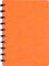 Бизнес-тетрадь В5+, 80л., Berlingo "Eclipse", клетка, на кольцах, с возм. замены блока, 80г/м2, пластик. (полифом) обложка, линейка-заклад., оранжевая