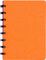 Бизнес-тетрадь А5+, 80л., Berlingo "Eclipse", клетка, на кольцах, с возм. замены блока, 80г/м2, пластик. (полифом) обложка, линейка-заклад., оранжевая
